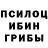 Псилоцибиновые грибы Psilocybe RONNIS