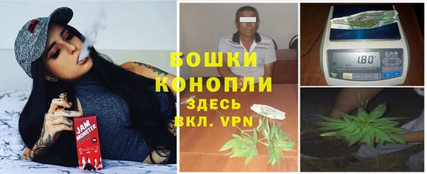 a pvp Аркадак