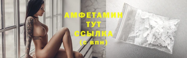 a pvp Аркадак