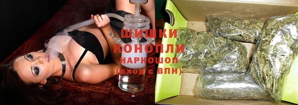 a pvp Аркадак