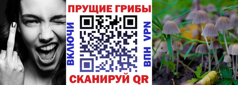 Галлюциногенные грибы Magic Shrooms  Заозёрск 